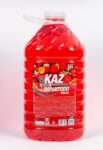 KAZ LIMPIA TODO